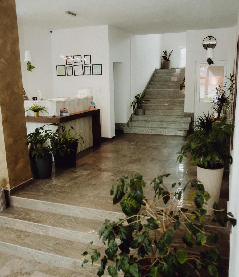 Vila Ursul Negru Sovata Exterior foto