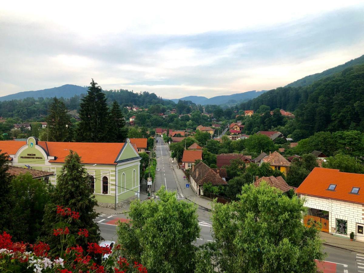 Vila Ursul Negru Sovata Exterior foto